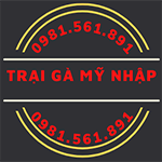 Trại Gà Mỹ Nhập